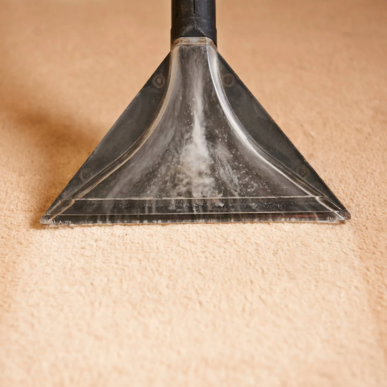 Carpet care | Dary Carpet & Floors