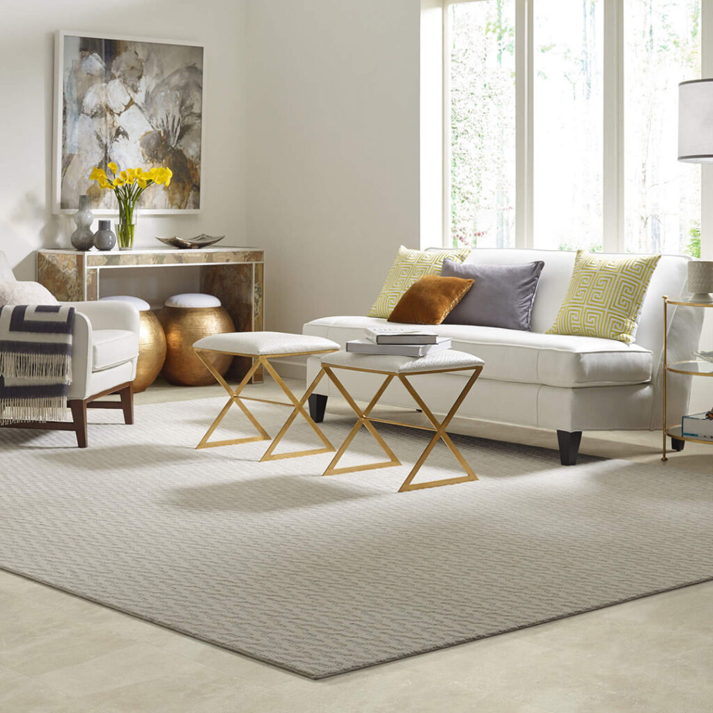 Area rug | Dary Carpet & Floors