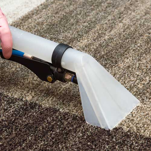 Carpet cleaning | Dary Carpet & Floors