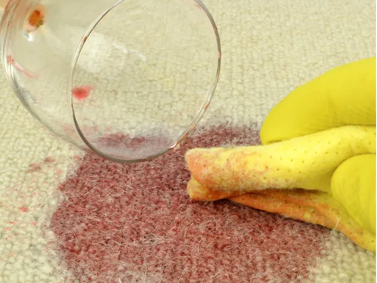 Carpet care | Dary Carpet & Floors